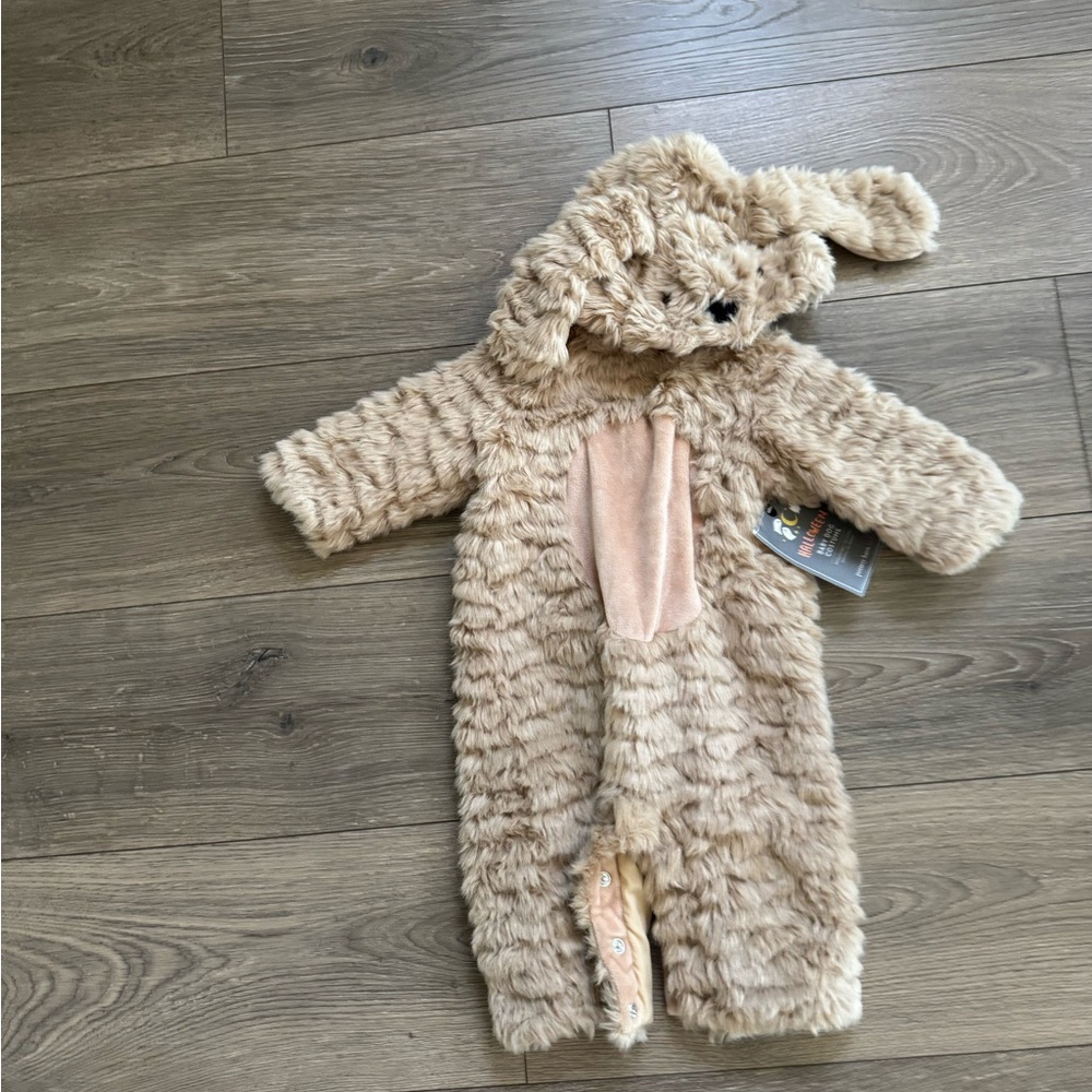 Pottery barn labradoodle costume